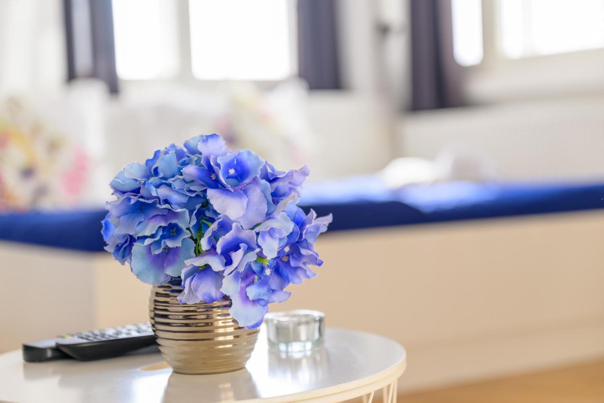 Niva Rooms & Studio Apartment Zagreb Exterior foto